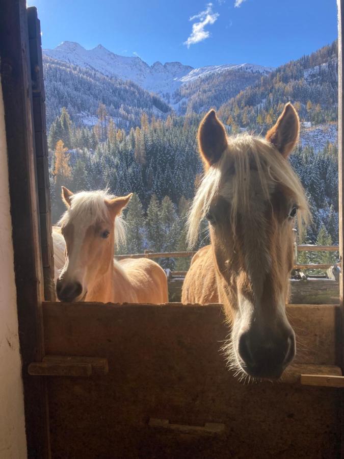 Ferienwohnungen-Lippenhof Sankt Jakob in Defereggen Exteriér fotografie